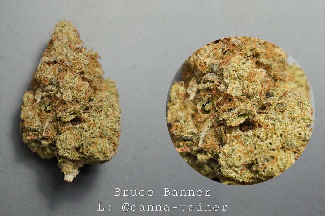 Premium Cannabis Products Bruce Banner