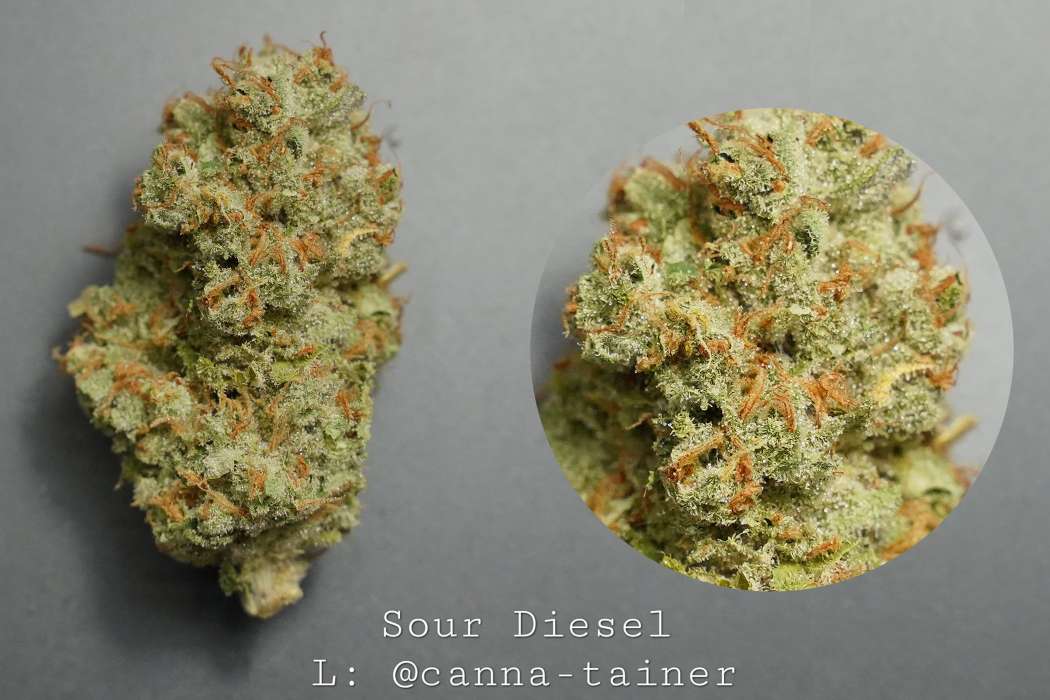 Sour Diesel