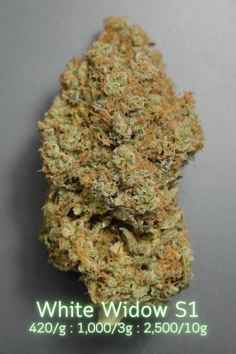 white-widow-s103