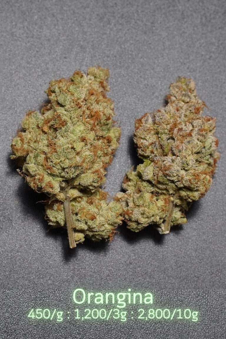 cannabis orangina