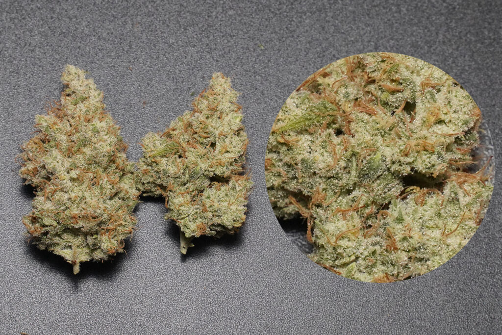 how to grow cannabis/marijuana in a container