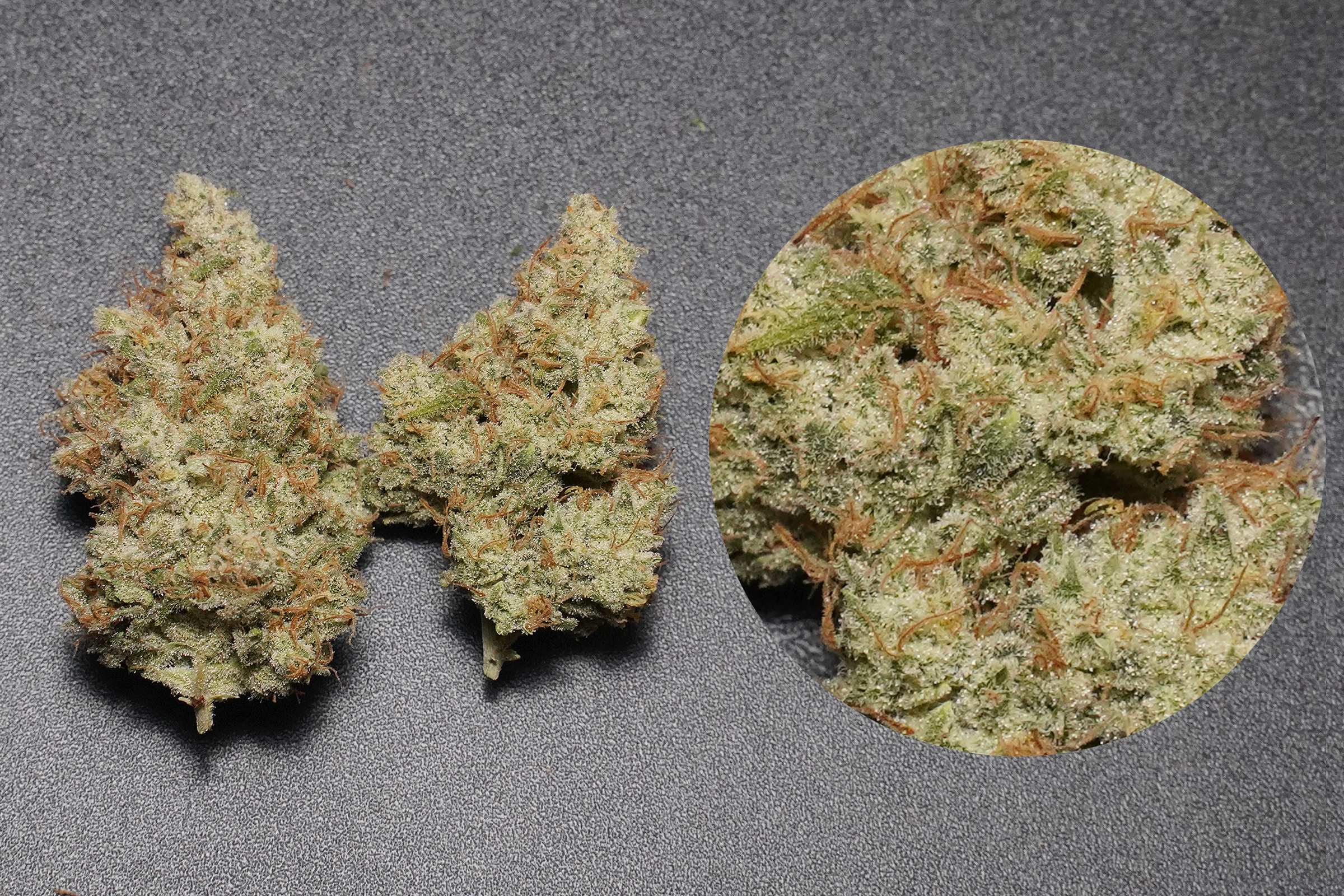 Premium Cannabis Products Grimm Glue