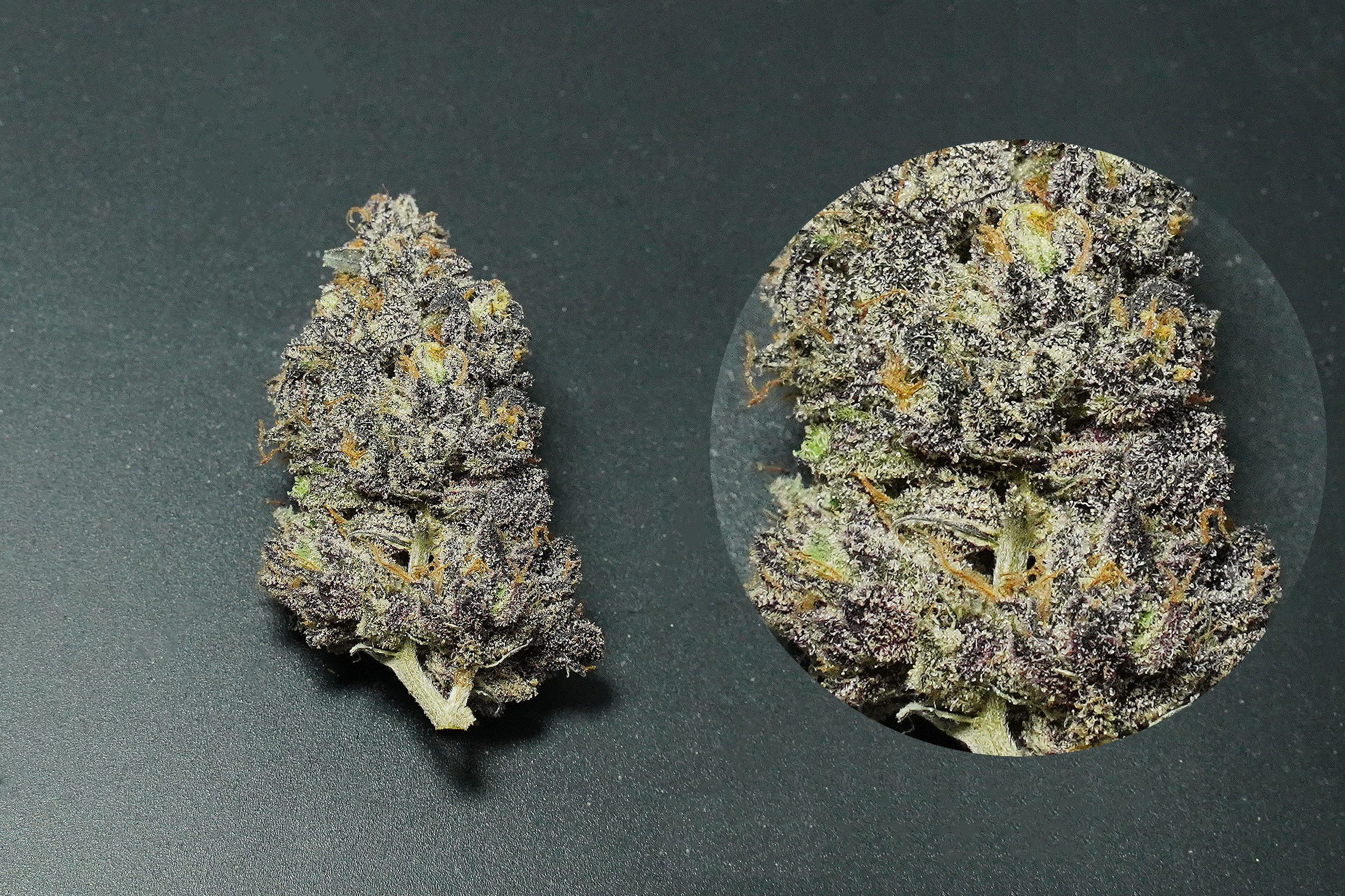 Glazed Apricot Gelato