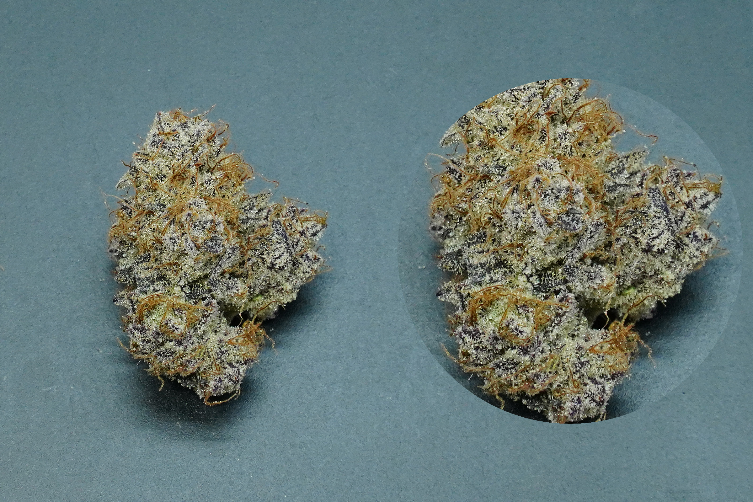 apples & bananas cannabis