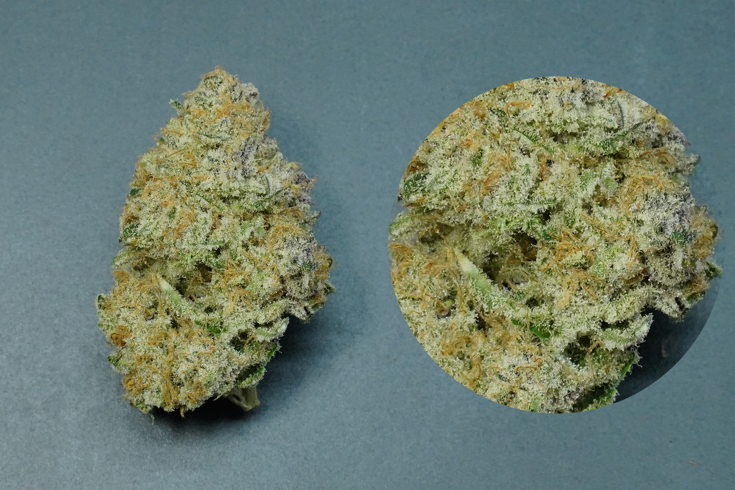 pink paradise cannabis