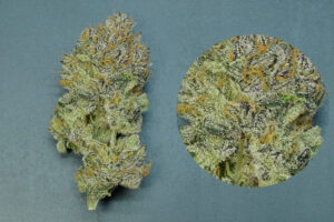 Unveiling the Essence of Premium Cannabis Flower: Grown to Perfection