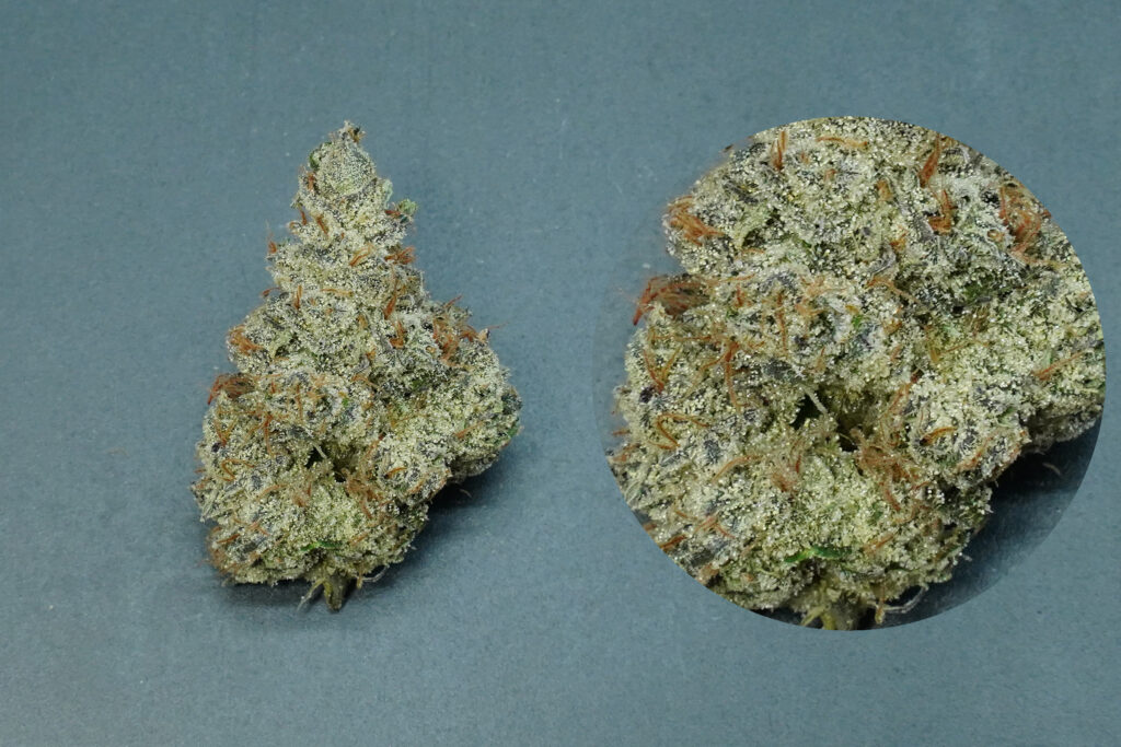 Premium Cannabis Flower in Innovative Containers