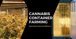 Maximizing Yield and Efficiency: The Power of Cannabis Container Farming